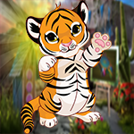 G4K Cute Baby Tiger Escape