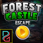 PG Forest Castle Escape