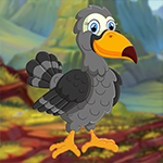 G4K Jovial Toucan Bird Escape