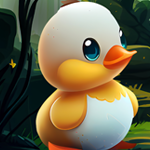 G4K Little Duck Rescue