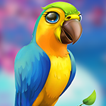 G4K Little Parrot Escape