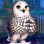 G4K Lovely Owl Escape