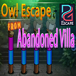 PG Owl Escape From Abandoned Villa