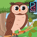 PG Owl Rescue Escape