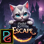 G4K Playful Kitten Escape