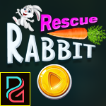 PG Rescue Rabbit