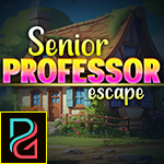 PG Senior Professor Escape