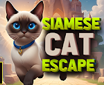 PG Siamese Cat Escape