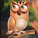 G4K Swish Owl Escape