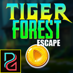 PG Tiger Forest Escape