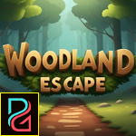 PG Woodland Escape