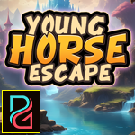 PG Young Horse Escape