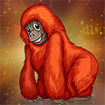 G4K Cheerless Orangutan Escape