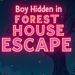 G4K Boy Hidden in Forest House Escape Game