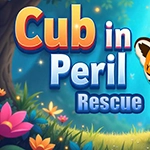 G4K Cub in Peril Rescue Game