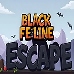 G4k Black Feline Escape Game