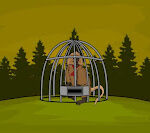 G2J Gelada Baboon Rescue from Cage
