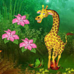 WOW-Giraffe Escape From Fantasy Land