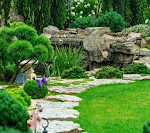 365 Green Garden Escape 2