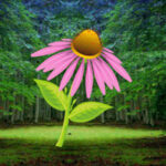 G2R-Greenest Spring Forest Escape HTML5