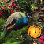 BIG-Halloween Wonder Garden Escape HTML5