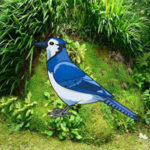 WOW-Help The Blue Jay Bird HTML5