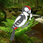 BIG-Help The Troubled Woodpecker HTML5