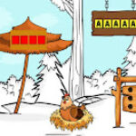 G2J Help to Feed Broody Hen