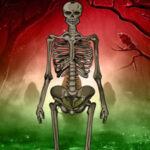 G2R- Horrify Skeleton Forest Escape HTML5