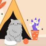 BIG-Hungry Cat Family Escape HTML5