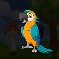 G2J Hyacinth Macaw Escape
