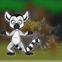 G2J Ring Tailed Lemur Escape