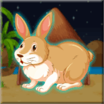 G2J Pet Bunny Rescue From Cage