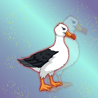 FG Cute Albatross Escape