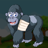 G2J Injured Gorilla Rescu…