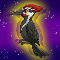 G2J Wild Woodpecker Escap…