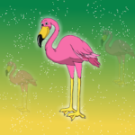 G2J The Chilean Flamingo Escape