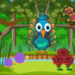 G2R Infant Peacock Searching Mom