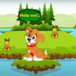WOW Injured Dog Meet Buddies