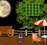 G2J Injured Small Puppy Rescue