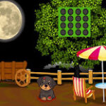 G2J Injured Small Puppy Rescue