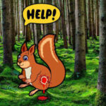 G2R Injuried Squirrel Escape