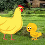 G2R-Innocent Hen Chick Escape HTML5
