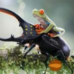 EGN-Insects Land Escape HTML5