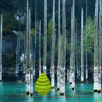BIG-Kaindy Lake Tree Escape HTML5