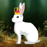 WOW-King Rabbit Escape HTML5