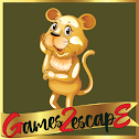 G2E Cute Female Lion Rescue HTML5