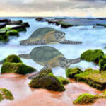 WOW- Living Sea Animal Beach Escape HTML5