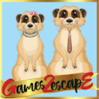 G2E Meerkat Couple Rescue HTML5
