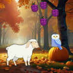 G2R Mother Sheep Seeking Child